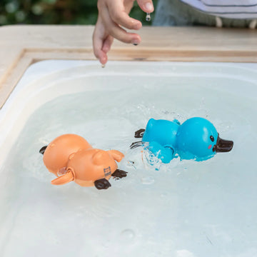 Bath races platypuses