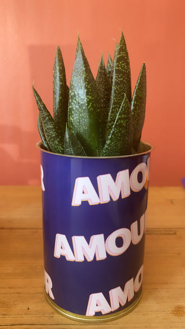 Plante - Amour