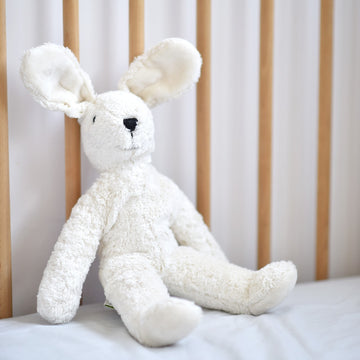 Lapin