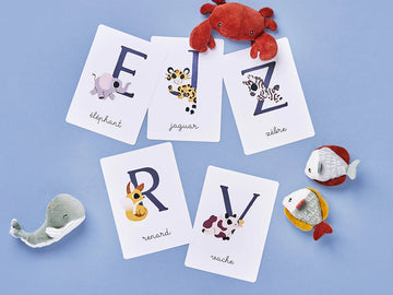 Cartes Alphabet
