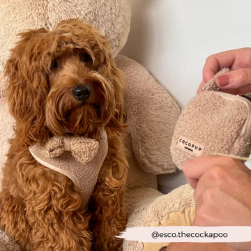 Pochette à friandises pour animaux
