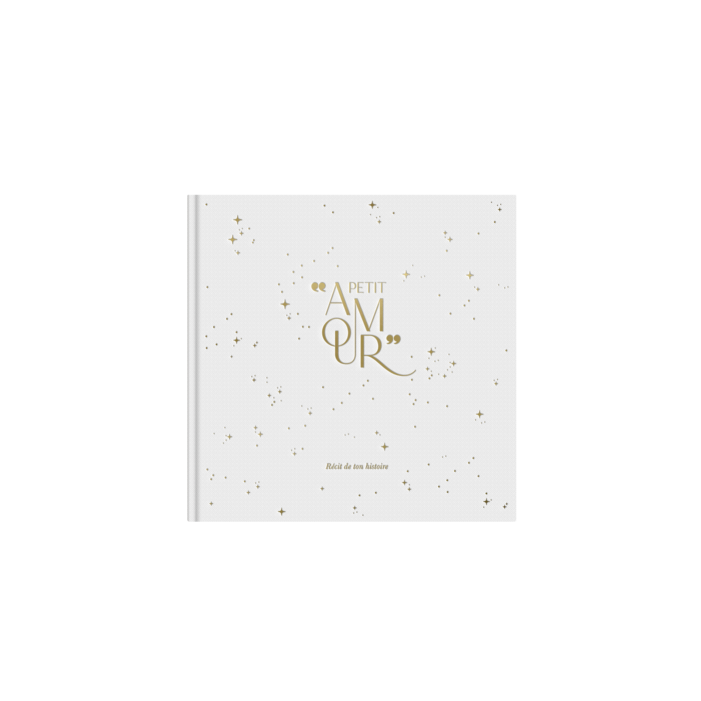 Livre de naissance velours