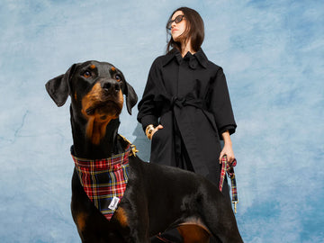 Bandana tartan pour chien