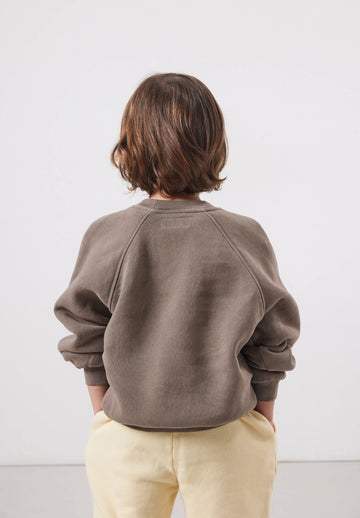 Sweat shirt Isubird 3 ans