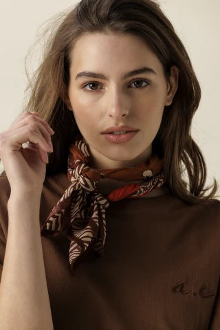 Small foulard Dupitta zèbre marron