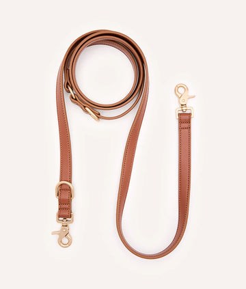 Laisse marron mutiposition pour chien
