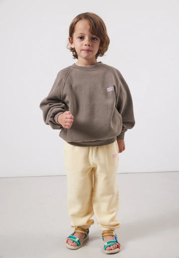 Sweat shirt Isubird 3 ans