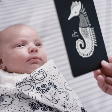 Cartes d'art pour bébé - Animaux marins