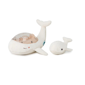 Tranquil Whale™ Family - Blanche