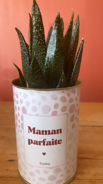 Plante - Maman parfaite