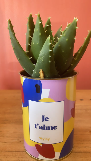 Plante - je t'aime